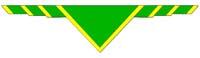 Neckerchief